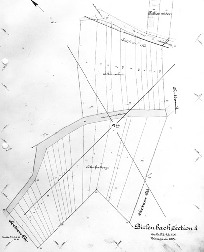 Cadastre du village de Birlenbach. Section 4.