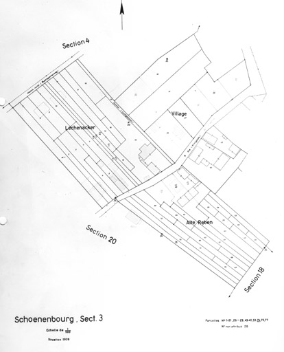 Plan du village de Schoenenbourg. Cadastre de 1939. Section 3.