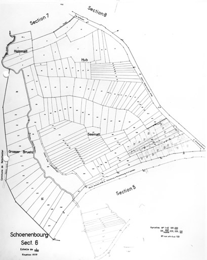 Plan du village de Schoenenbourg. Cadastre de 1939. Section 6.