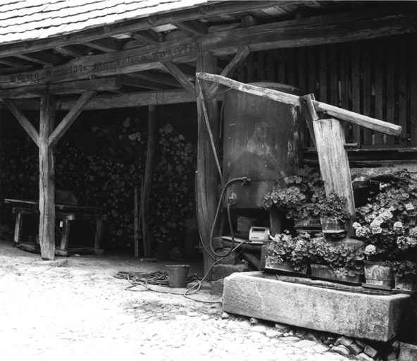 Ferme : 66 rue Principale à Drachenbronn-Birlenbach. Détail de la remise et du puits.