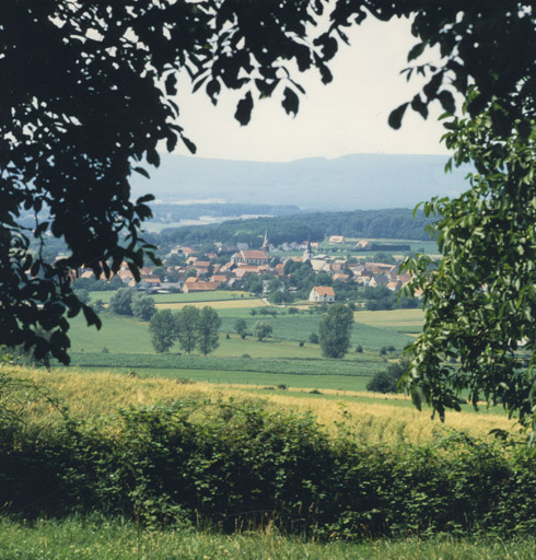 Vue d'ensemble depuis la R.N. entre Soultz-sous-Forêts et Surbourg.