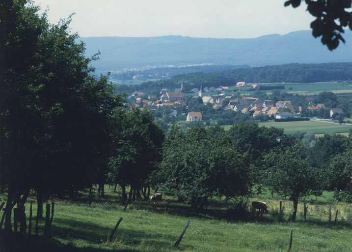 Vue d'ensemble depuis la R.N. entre Soultz-sous-Forêts et Surbourg.