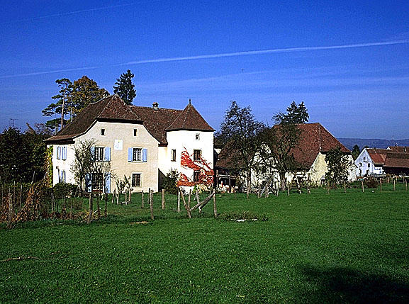Vue arrière de l'ensemble