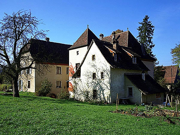 Vue arrière de l'ensemble