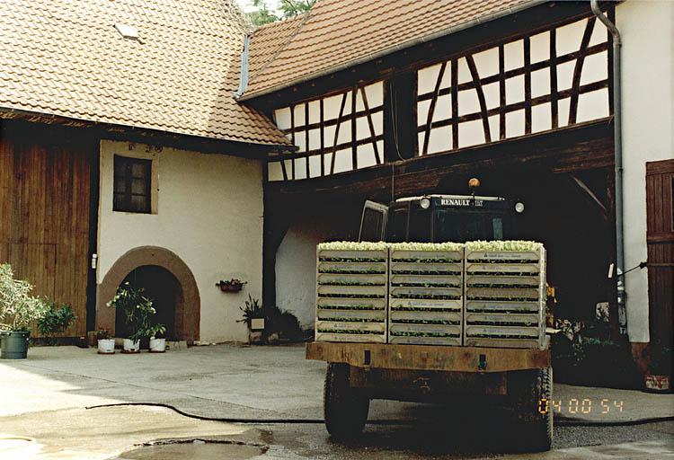 Hangar et cellier.