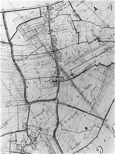Vue partielle du cadastre ancien.