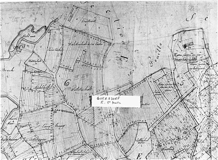 Extrait du plan cadastral de 1827, section E, 5ème feuille : Liebfrauenberg et moulin dit Altmühl.
