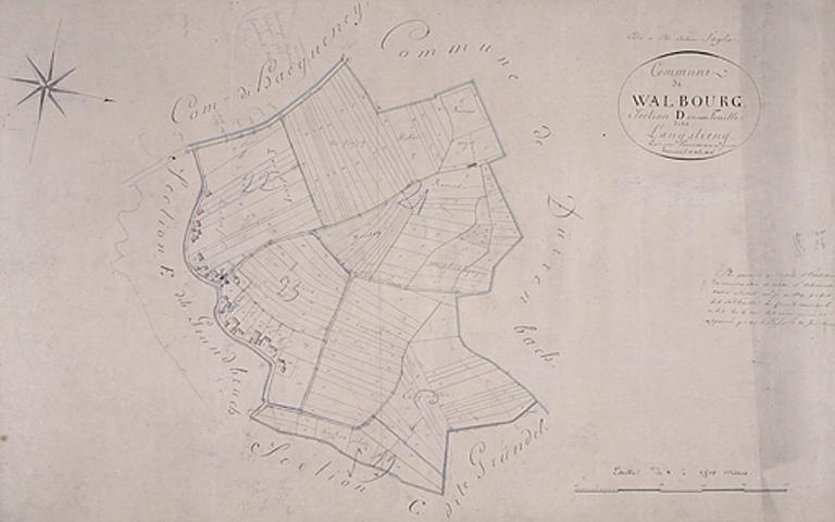 Extrait du plan cadastral de 1827 : section D, Hinterfeld.