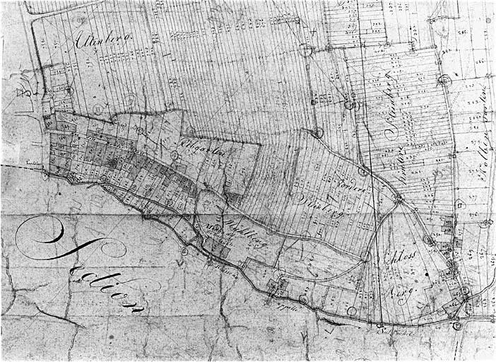 Vue du plan cadastral de 1827. Section B, extrait (rue des Frères).