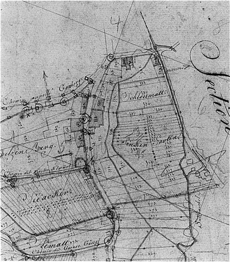 Vue du plan cadastral de 1827. Section D, extrait (rue de Froeschwiller).