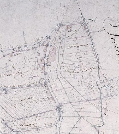 Vue du plan cadastral de 1827. Section D, extrait (rue de Froeschwiller).