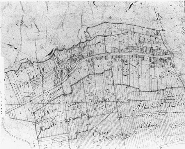 Vue du plan cadastral de 1827. Section F, extrait (rue des Montagnes).