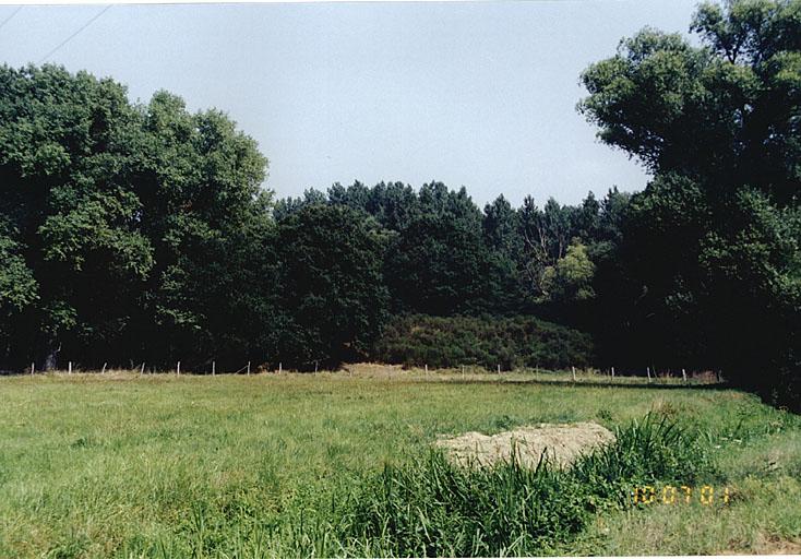 Vestiges d'une redoute près d'Altenstadt, au nord de la route D3 (section F1).