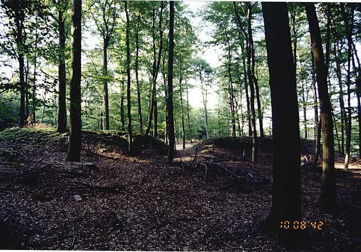 Vue des vestiges de la redoute dite du maréchal du Bourg, située à l'ouest de la maison forestière du Scherhol.