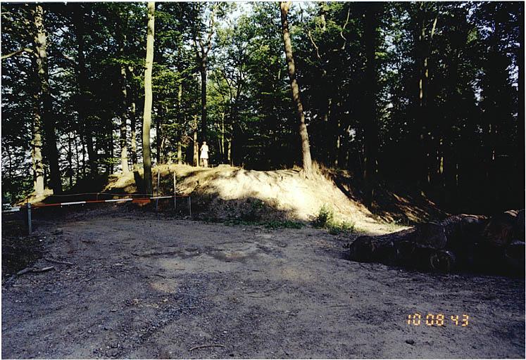 Vue des vestiges de la redoute dite du maréchal du Bourg, située à l'ouest de la maison forestière du Scherhol.