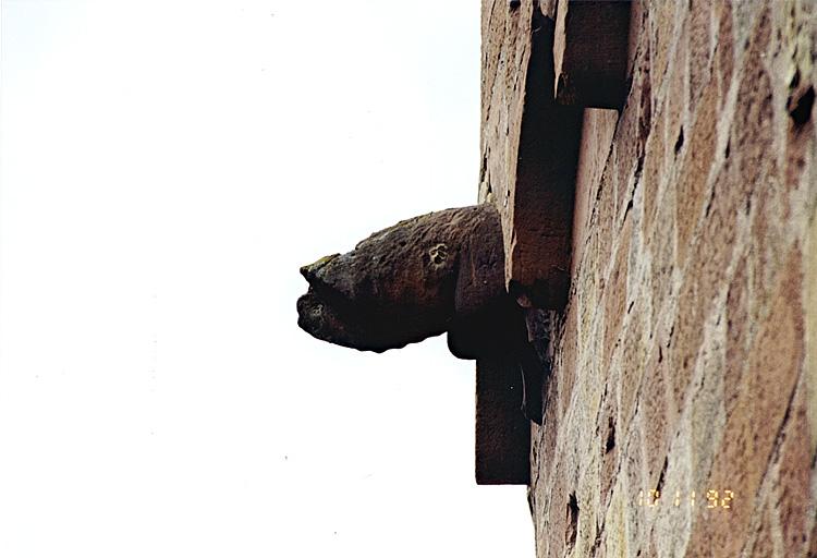 Courtine ouest du Bruch, tour Hausgenossen. Animal sculpté sous la frise d'arceaux supérieure de la face sud.