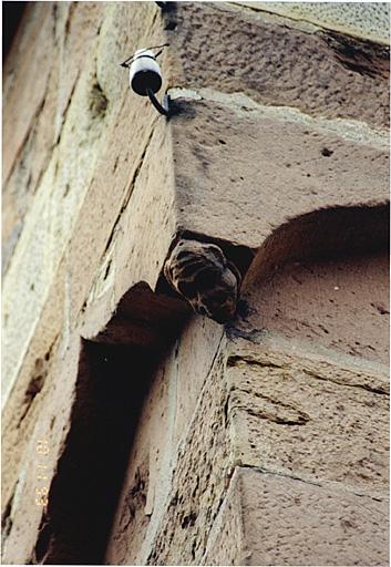 Courtine ouest du Bruch, tour Hausgenossen. Tête sculptée sous la frise d'arceaux supérieure, angle sud-est.