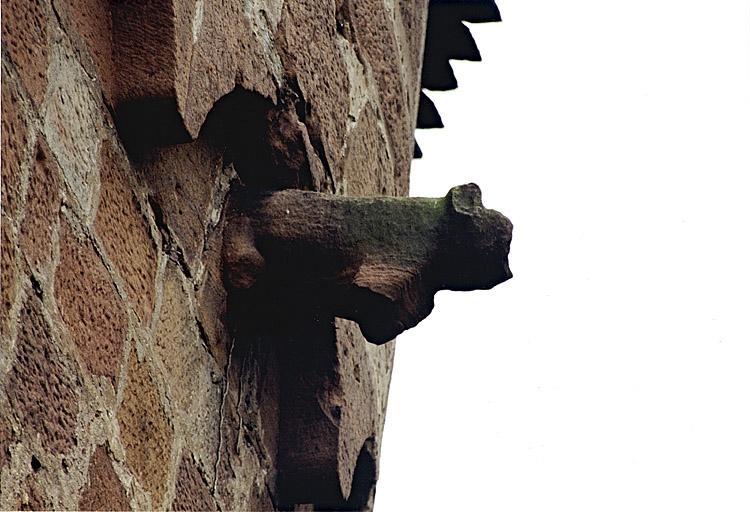 Courtine ouest du Bruch, tour Hausgenossen. Animal sculpté sous la frise d'arceaux supérieure de la face nord.