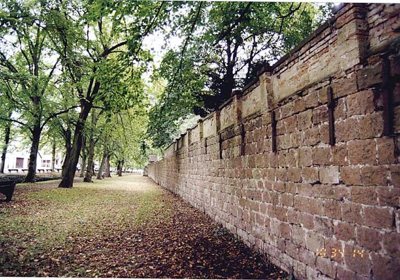 Vue d'ensemble du mur ouest.