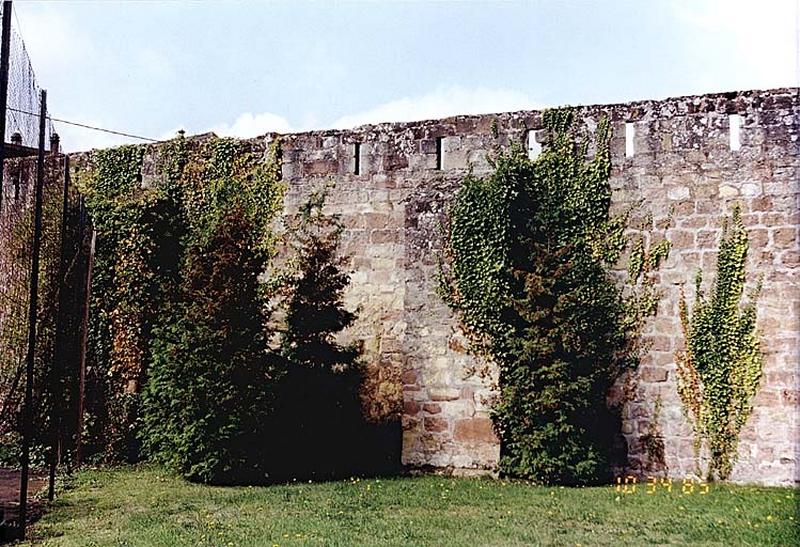 Courtine est de la ville, entre le Bannacker et la ville, au nord du moulin des franciscains. Vue partielle du mur avec fentes de tir, depuis l'est.