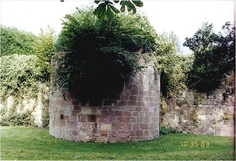 Courtine sud du Bruch et tour de flanquement B. Vue extra-muros depuis le sud.