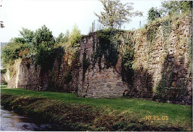 Courtine sud du Bruch et tour C. Vue extra-muros depuis le sud-est.