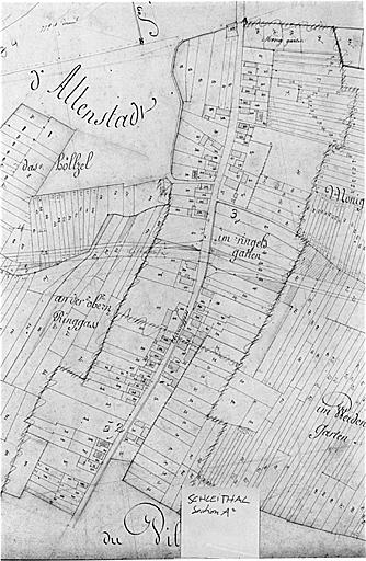 Vue du plan cadastral napoléonien : section A2.