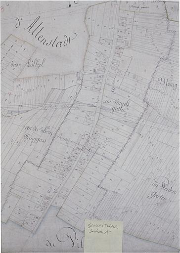 Vue du plan cadastral napoléonien : section A2.