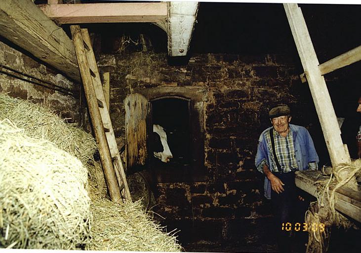 Vue de l'intérieur de la grange avec baie de distribution du fourrage d'une stalle d'étable.