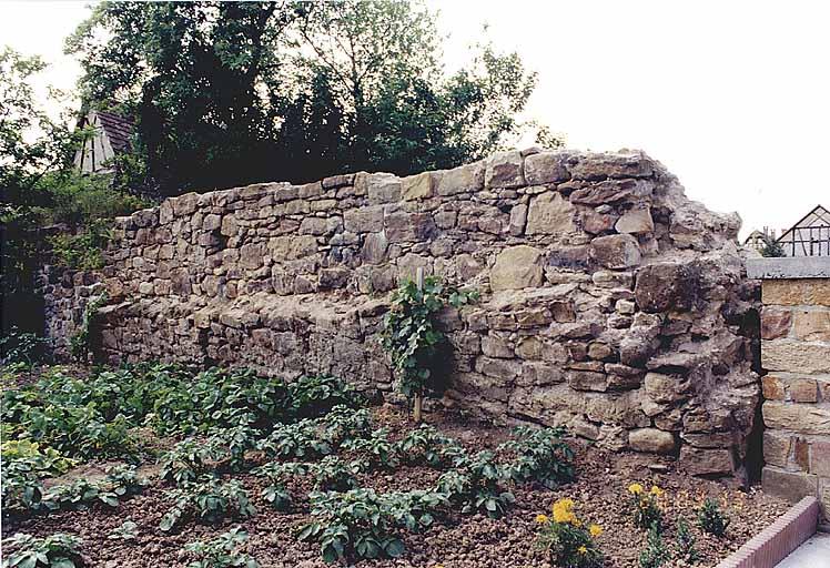 Vestige du mur d'enceinte sud, 68 à 71 rue des Crapauds, vu de l'extérieur.