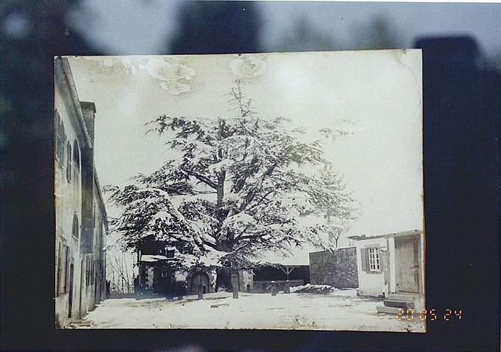 Reproduction d'une photographie ancienne, montrant le cèdre planté par Boussingault et les dépendances au nord du bâtiment conventuel, 1er quart du 20e siècle (propriété privée).