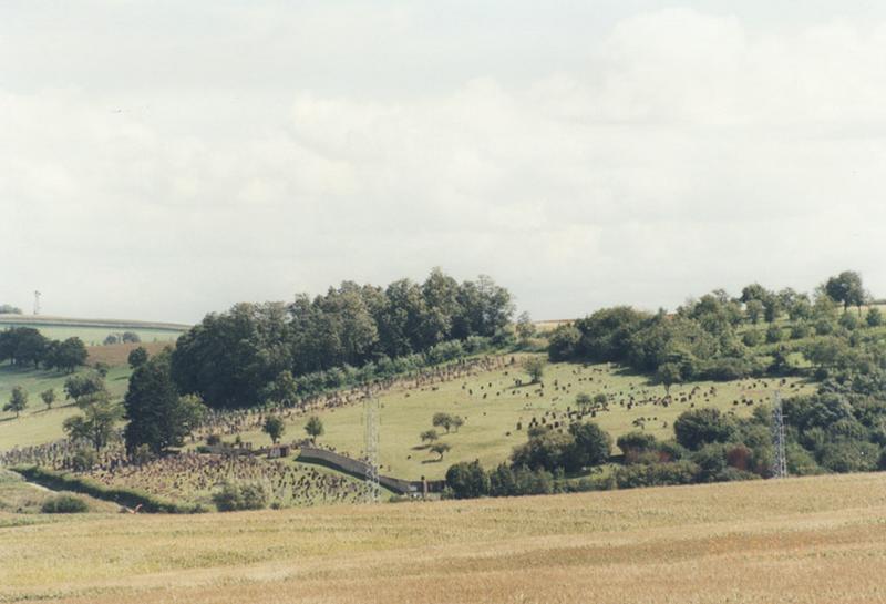 Vue d'ensemble du cimetière depuis l'ouest.