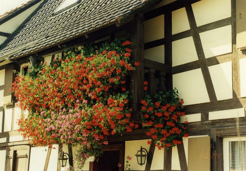 Mur-gouttereau antérieur : le balcon à l'étage.
