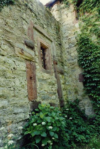 Logis, mur nord, porte primitive, murée, vue depuis le fossé