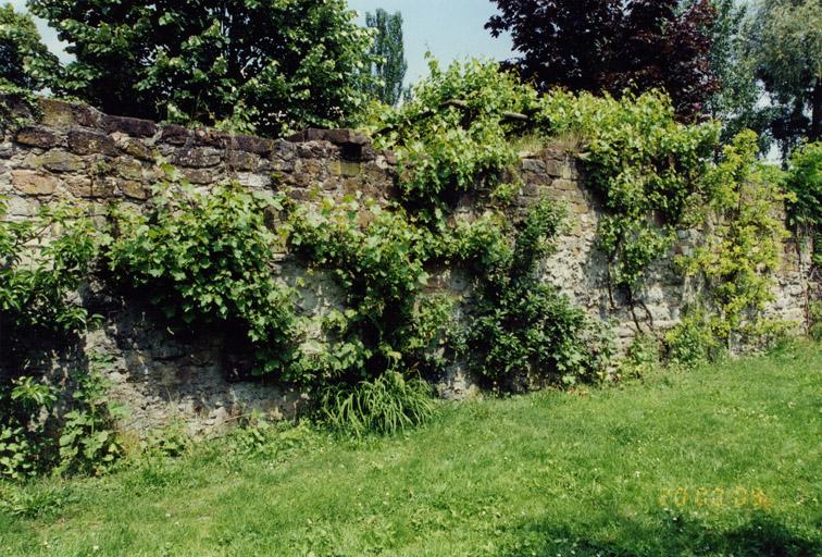 Logis, mur sud, vu depuis le fossé