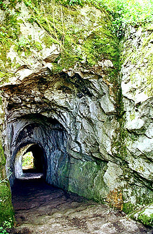 Tunnel d'accès vu du sud, avec trace de herse ?