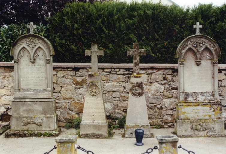 Vue d'ensemble de l'enclos.