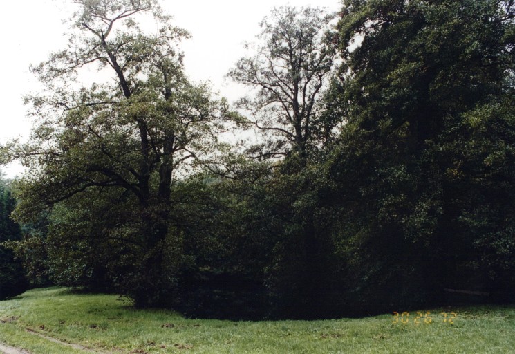 Vue d'ensemble de l'étang.