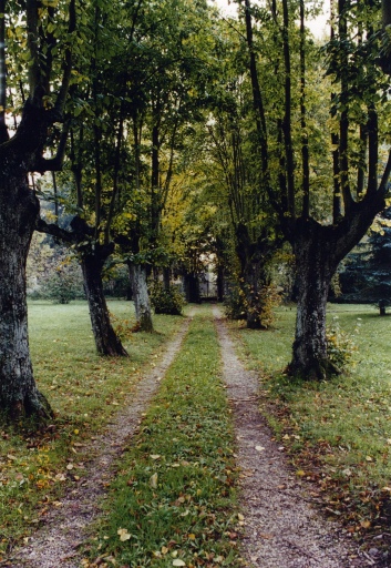 Allée principale, depuis la maison vers la grille.