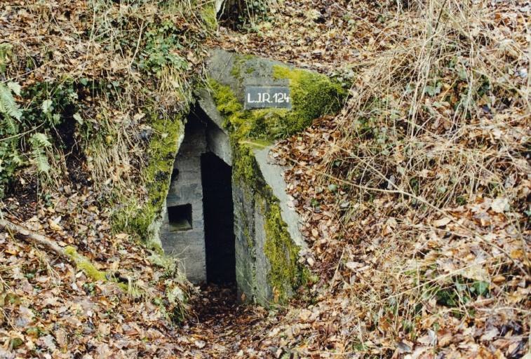 Casemate de la guerre de 1914-18.