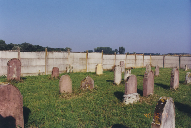 Vue d'ensemble de stèles.