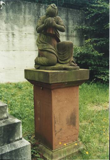 Vue d'ensemble.