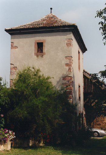 Mur sud du pigeonnier.