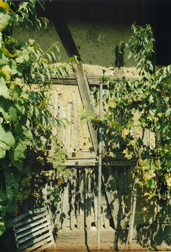 Hourdis du gouttereau arrière de la grange-étable. Vue de détail, depuis l'ouest.