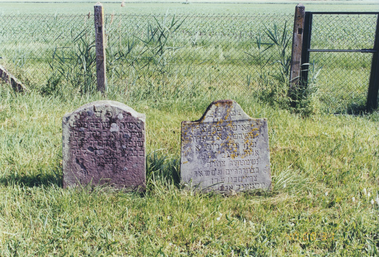 Deux monuments sépulcraux. Vue d'ensemble de face.