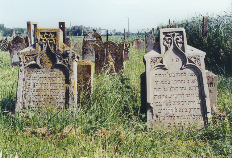 Vue d'ensemble de face.