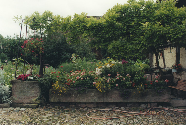 Puits et abreuvoir. Vue d'ensemble.