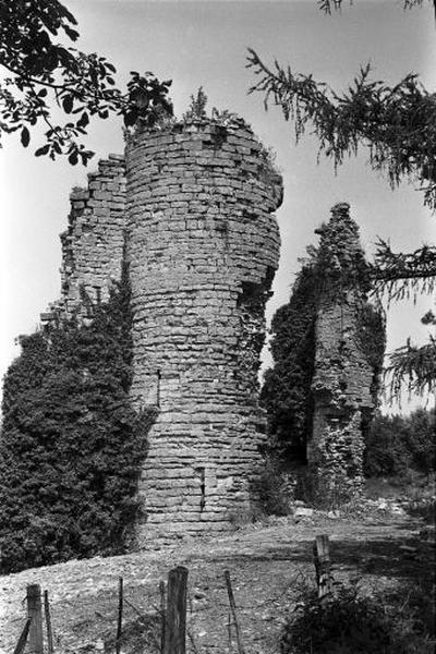 Le château-fort, vu depuis l'est.