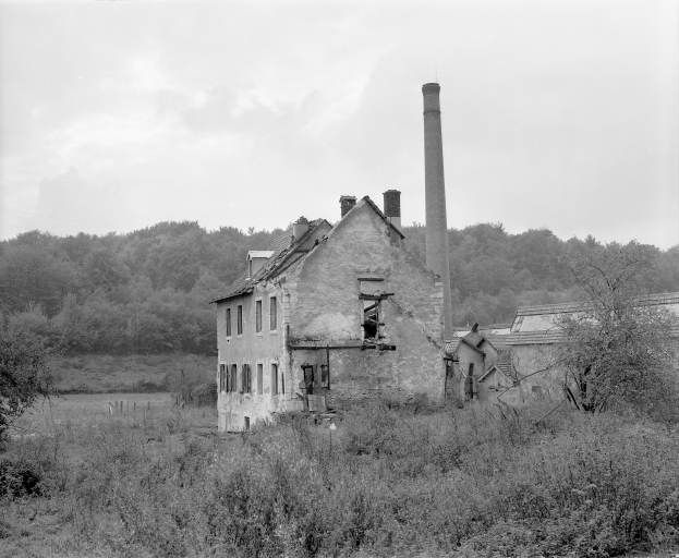 Vestiges de l'usine de Lafeschotte du Haut en 1981. Vue depuis le nord-est.