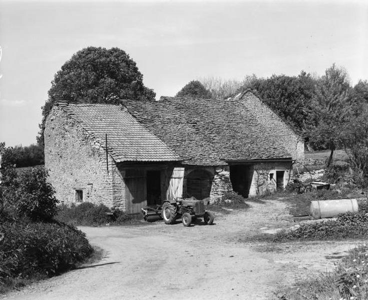Vue générale de la façade antérieure.